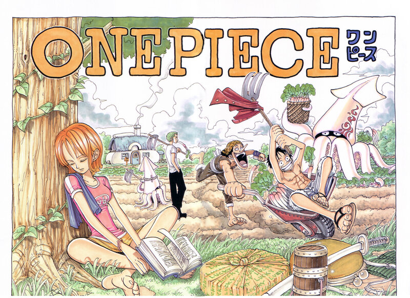 One Piece manga cover art