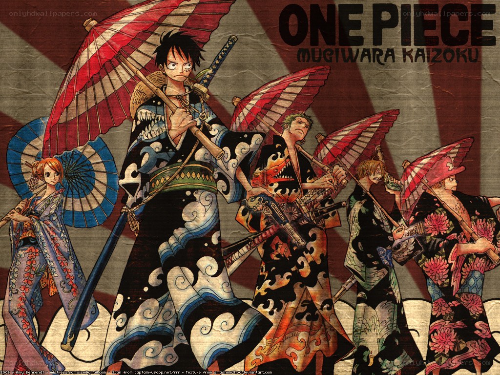 One Piece Mugiwara Kaizoku
