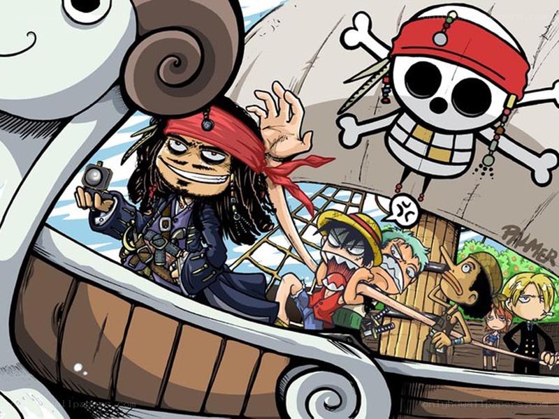 One Piece pirate crew