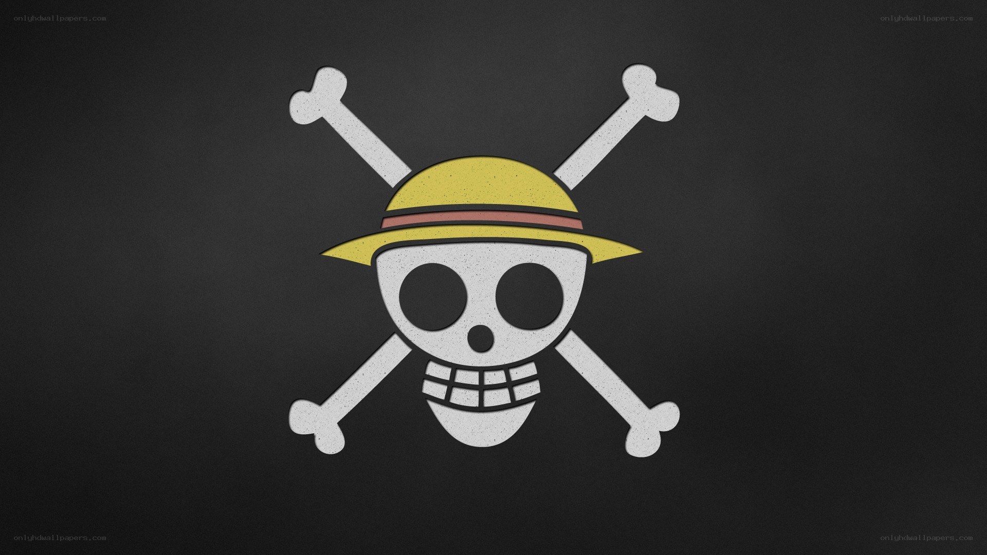 One Piece pirate flag