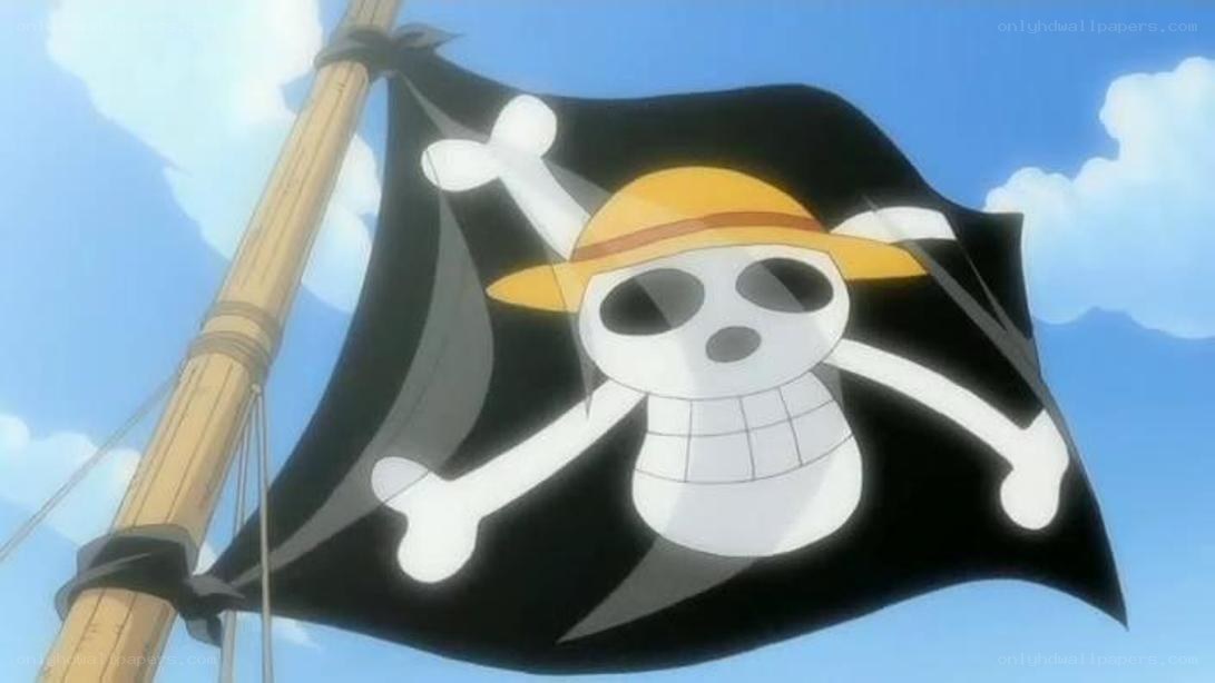 One Piece pirate flag