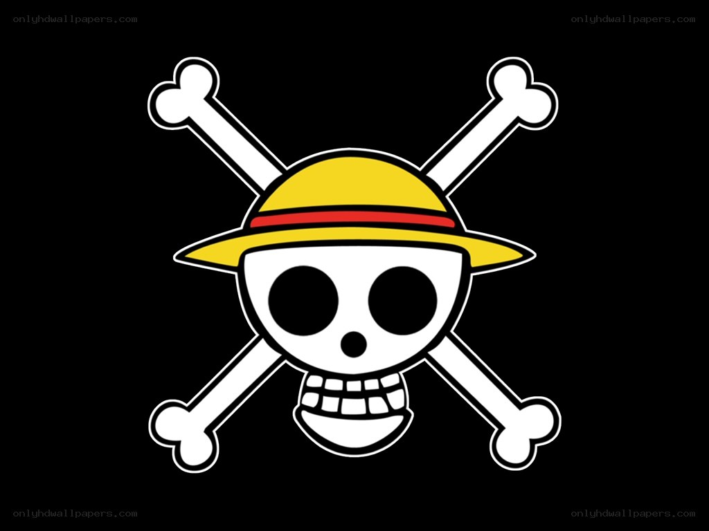 One Piece pirate flag