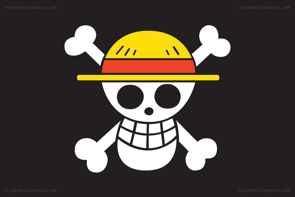 One Piece pirate flag