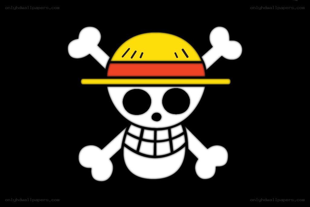One Piece pirate flag