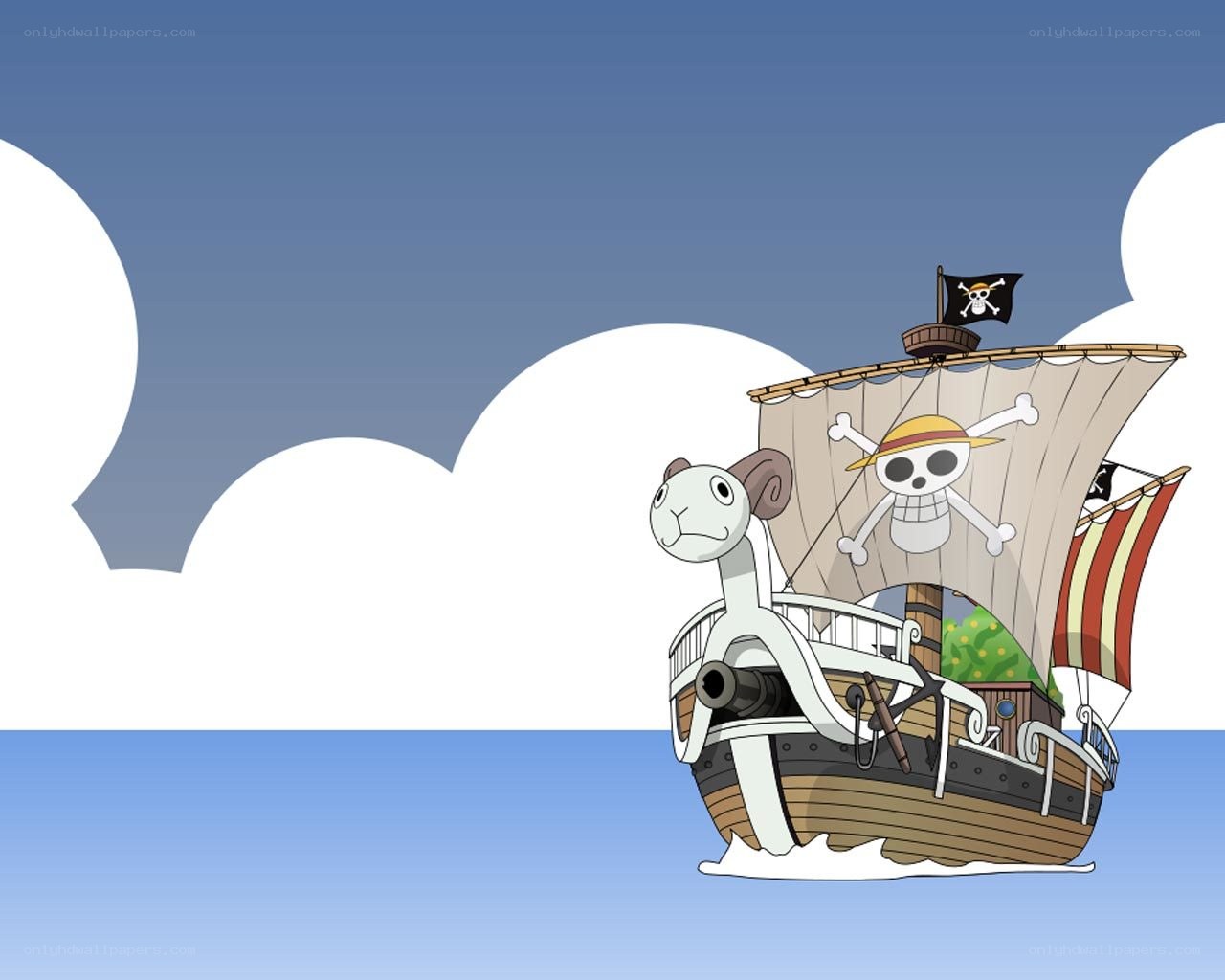 One Piece pirate ship