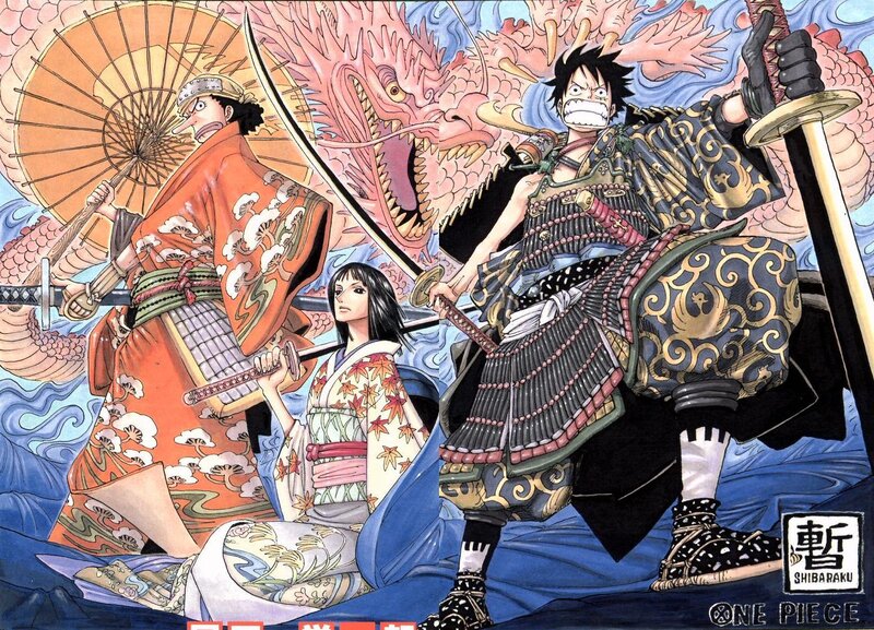 One Piece: Shichibukai battle