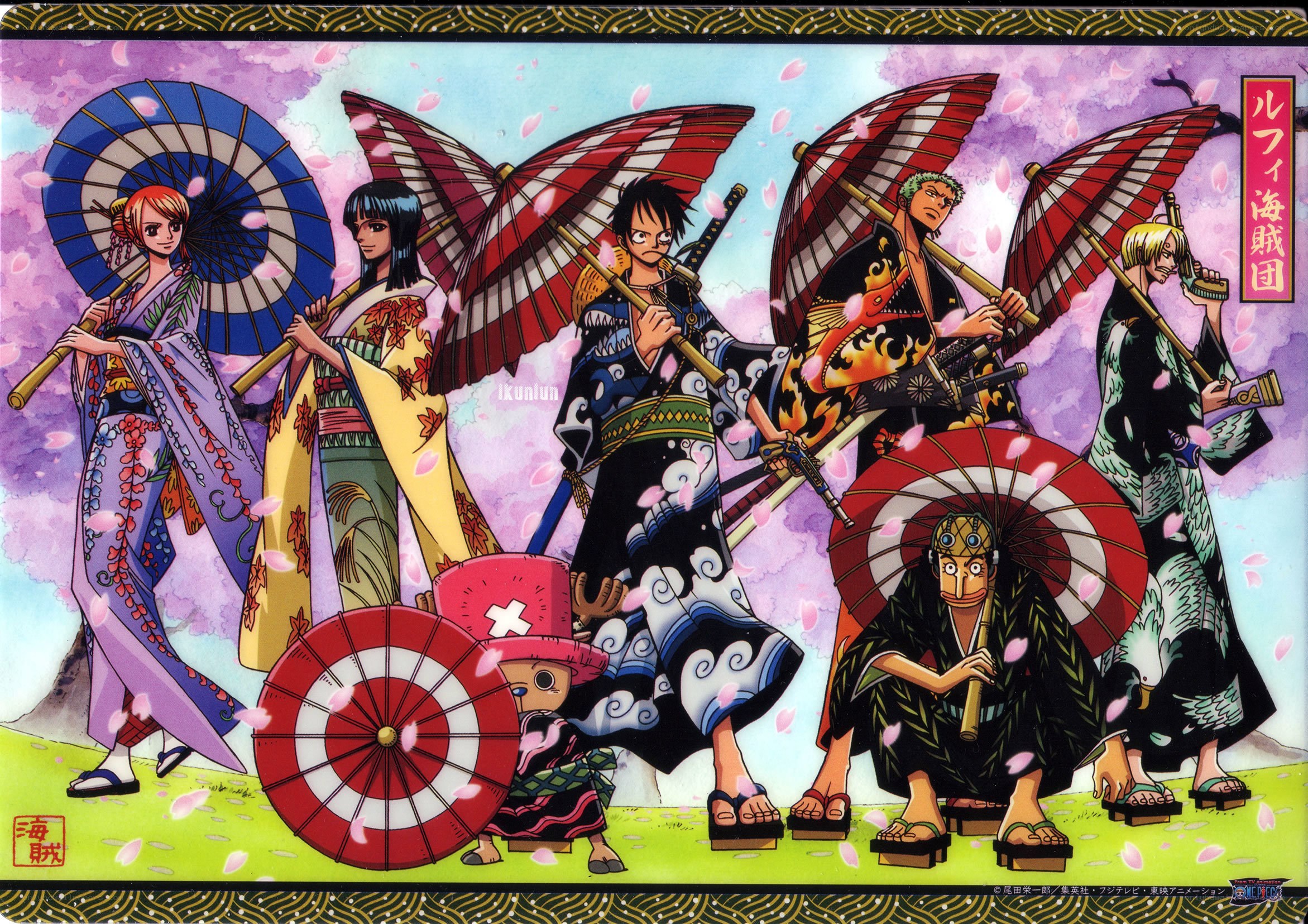 One Piece Straw Hat Pirates