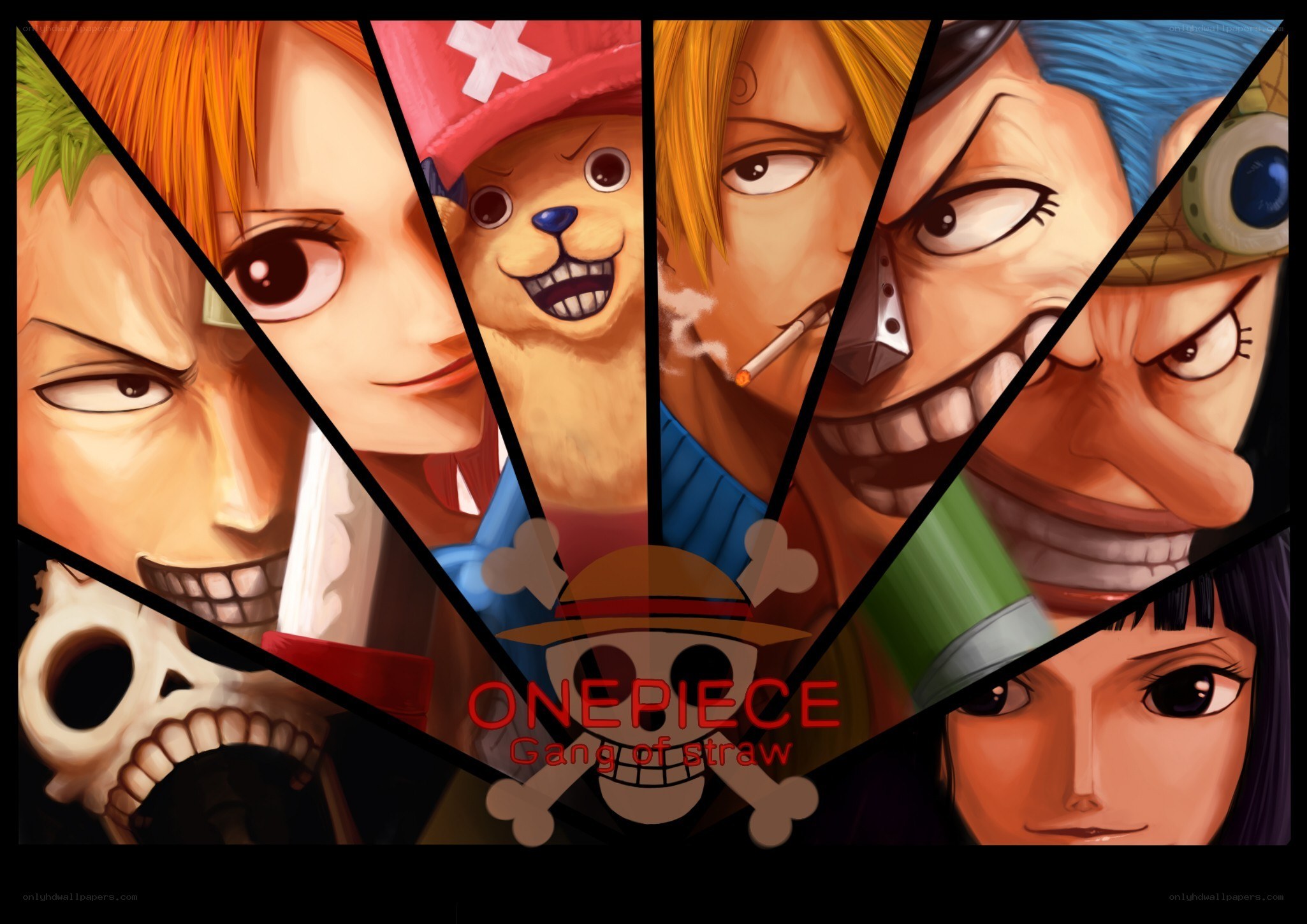 One Piece Straw Hat Pirates