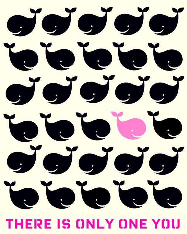 one pink whale among black whales