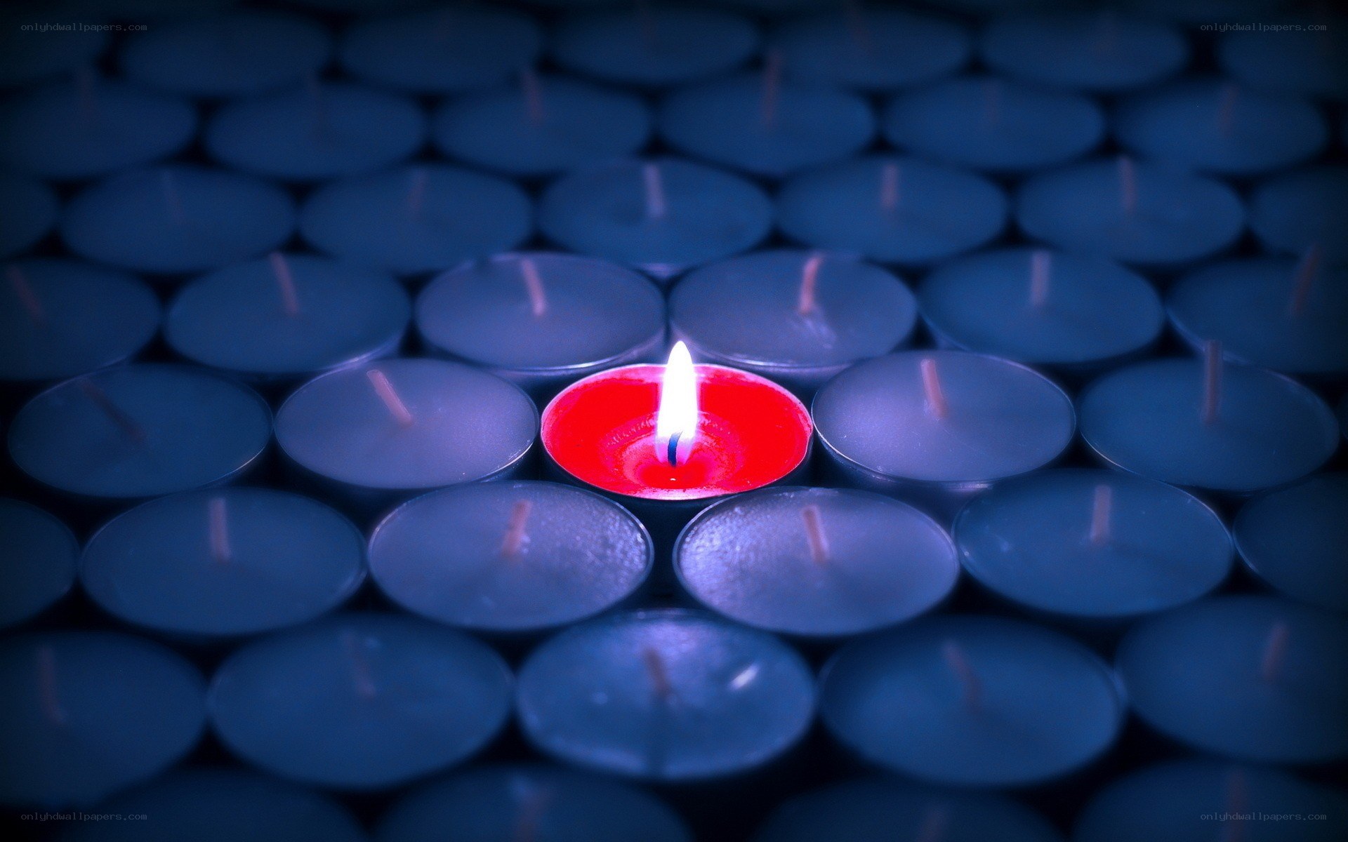 One red candle among blue candles
