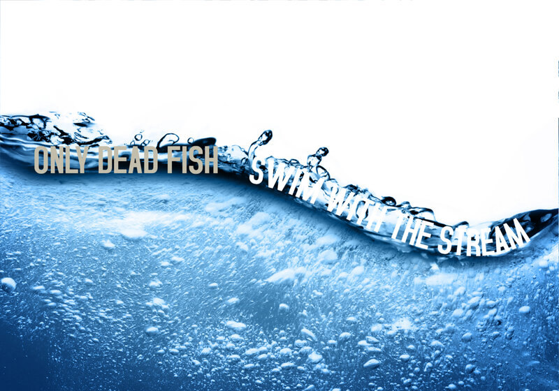 Only dead fish swim with the stream