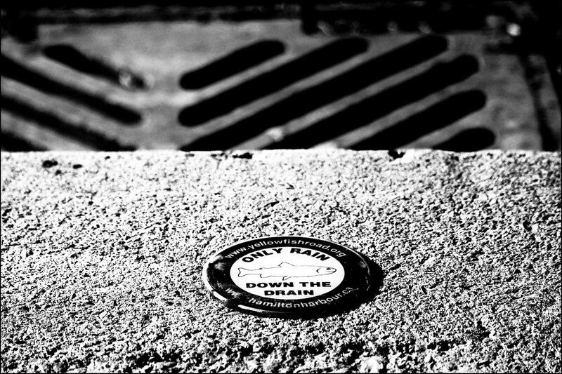 Only rain down the drain sign