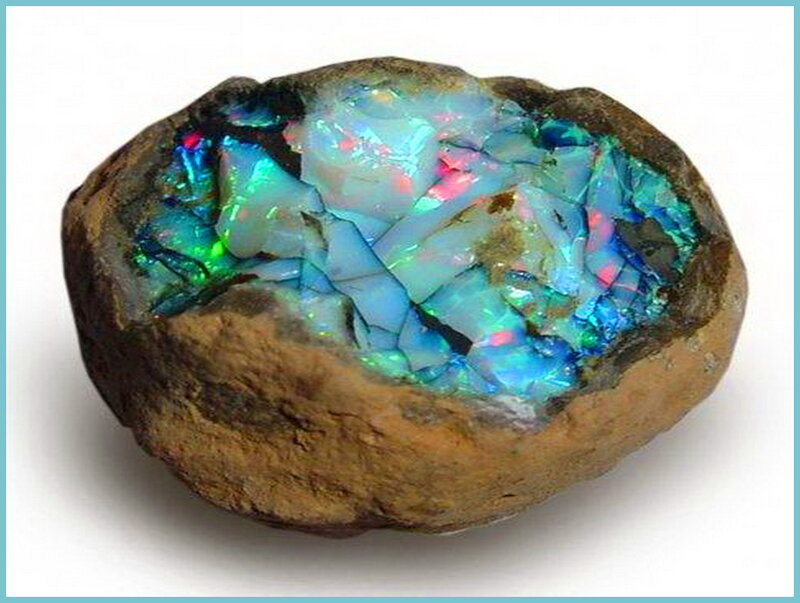 Opalized Rock Specimen