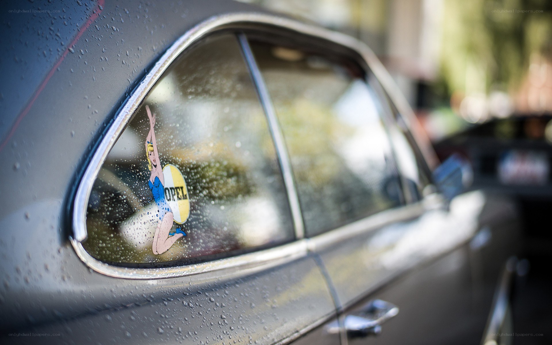 Opel sticker on car window