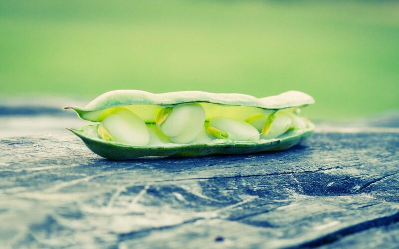 open bean pod on wood