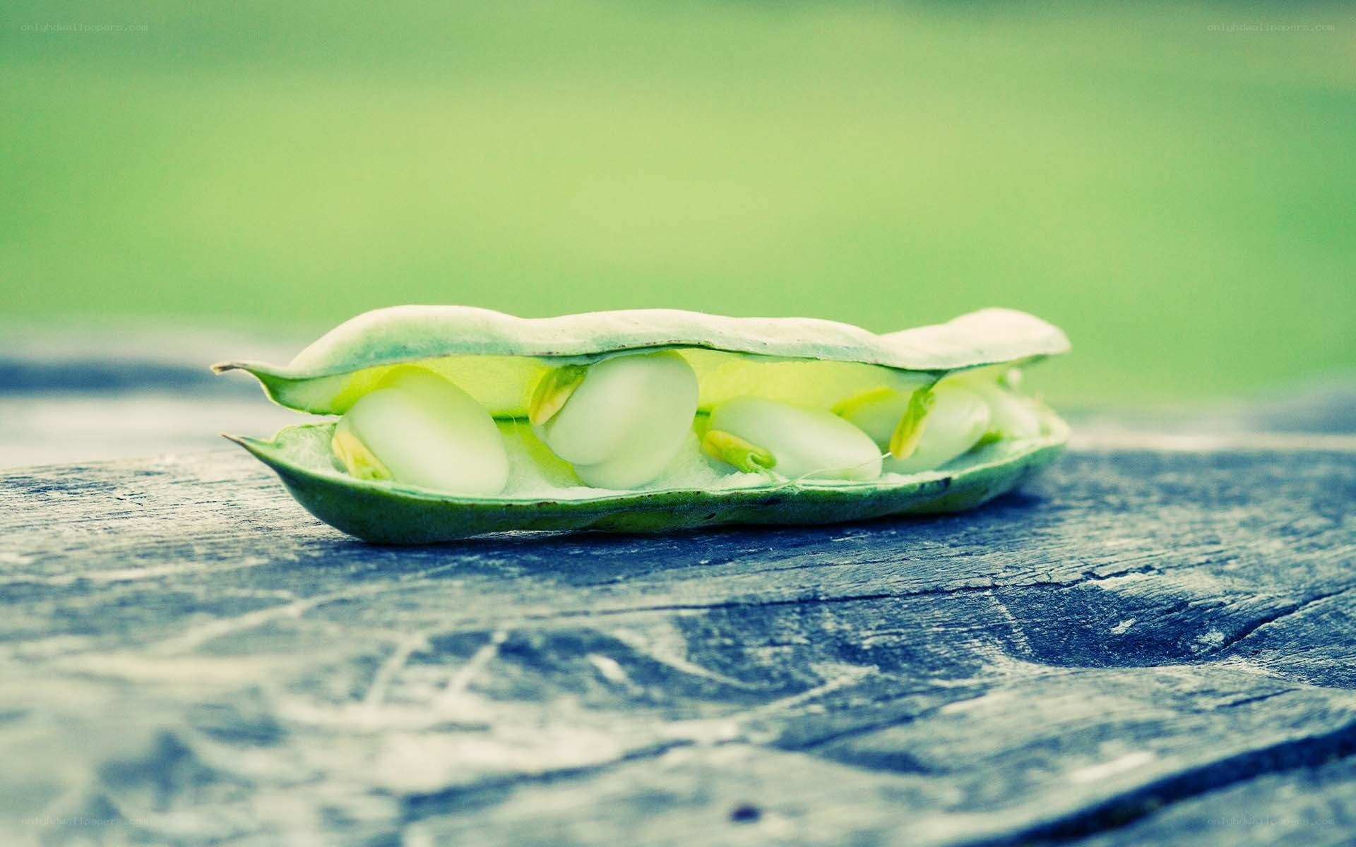 open bean pod on wood