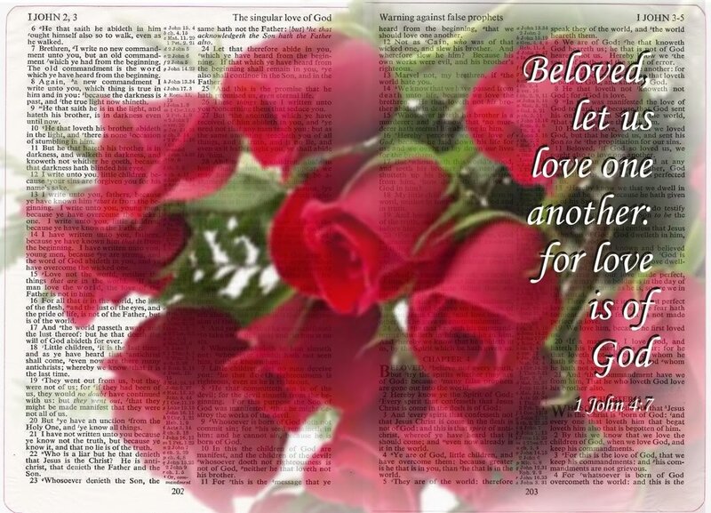 Open Bible Pages