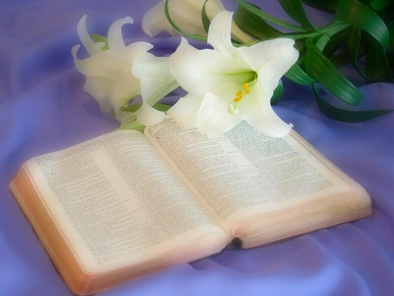 Open Bible with Lilies