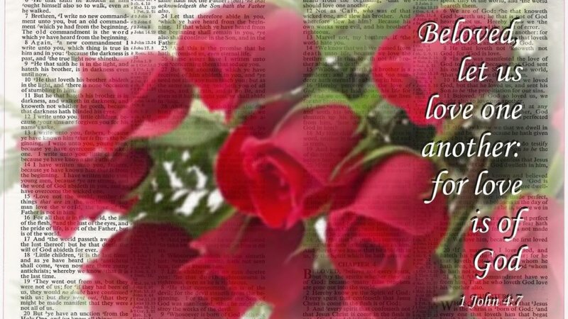 Open Bible with Rose