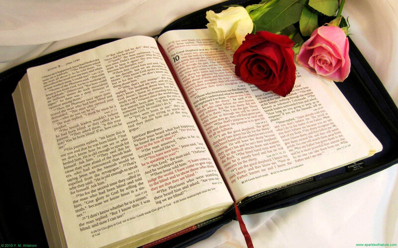 Open Bible with Roses