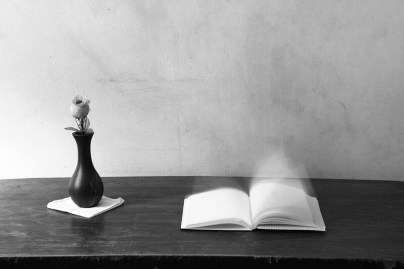 Open Book and Rose in Vase