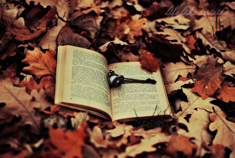 Open Book in Autumn Leaves