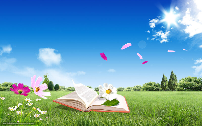 Open Book in Field — Blue, Serene, Afternoon
