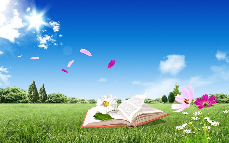 Open Book in Field — Blue, Serene
