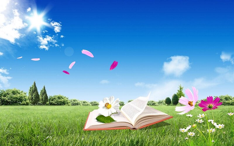 Open Book in Field — Blue
