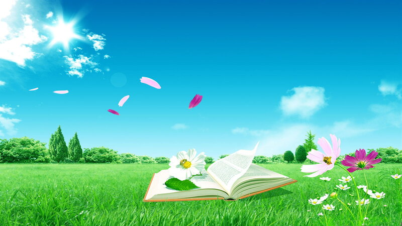 Open Book in Field