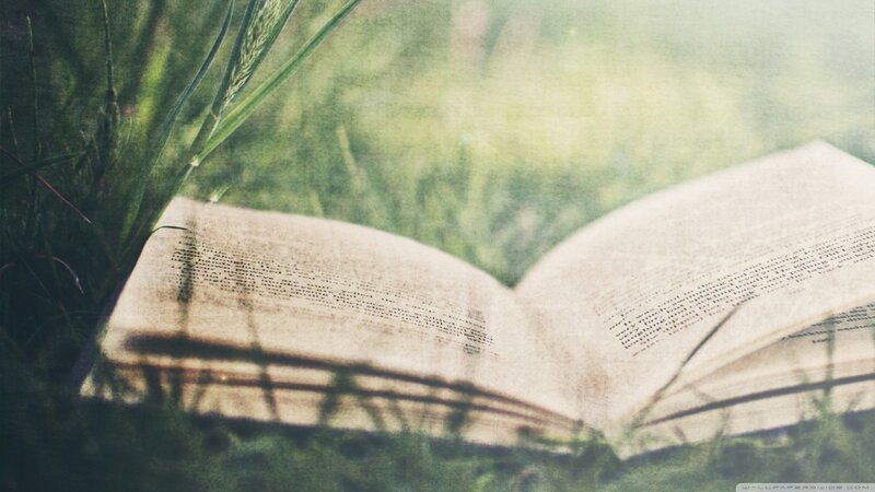 Open Book in Grass — Green, Serene, Afternoon