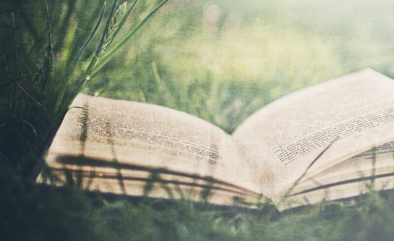 Open Book in Grass — Green, Serene