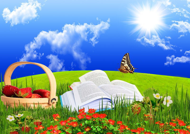 Open Book in Grass