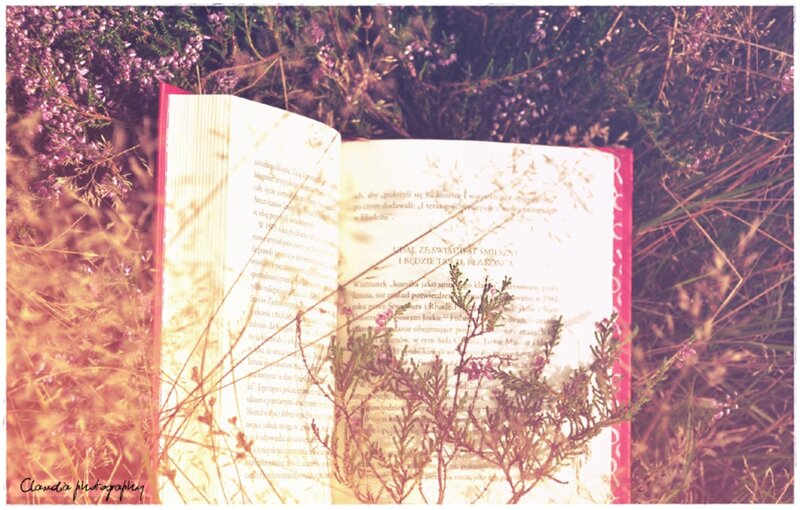 Open Book in Heather