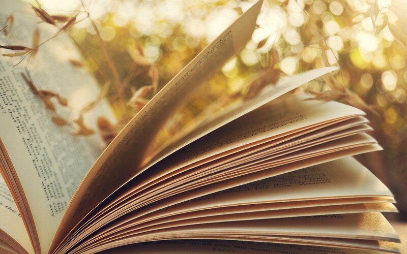 Open Book in Sunlight