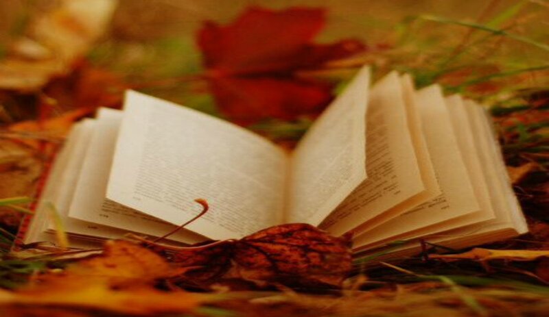 Open Book on Autumn Leaves