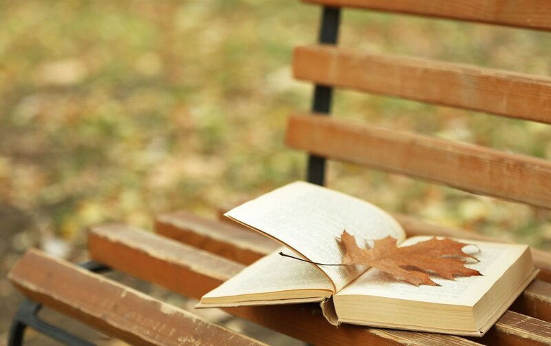 Open Book on Bench — Brown, Serene