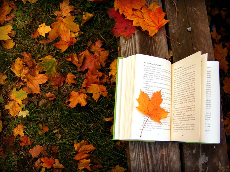 Open Book on Bench — Brown