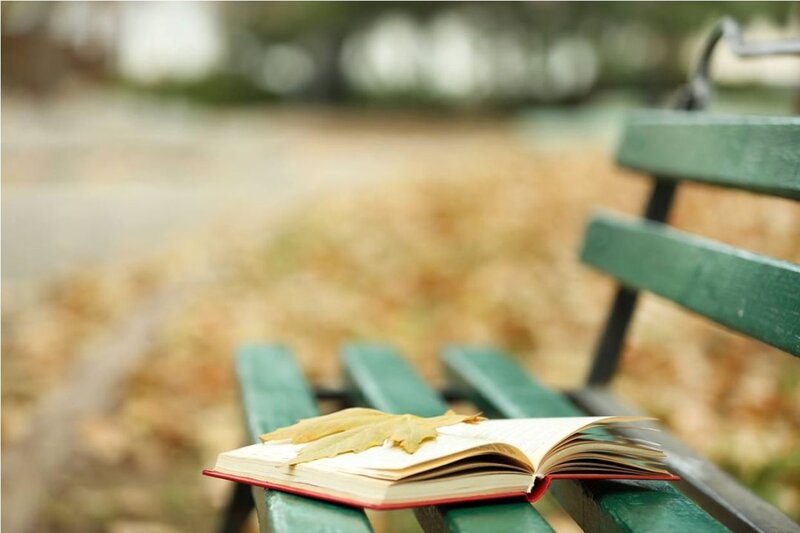 Open Book on Bench — Green