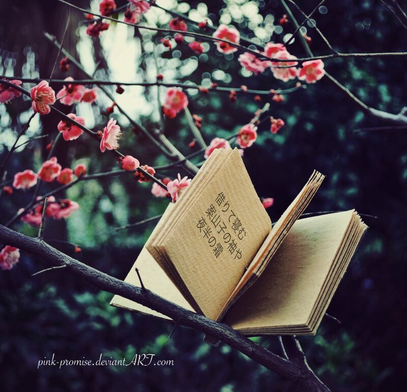 Open Book on Branch
