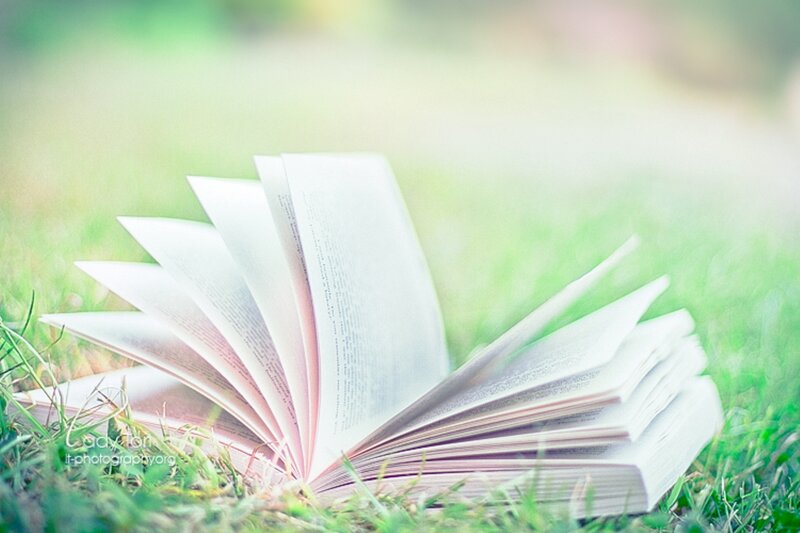 Open Book on Grass