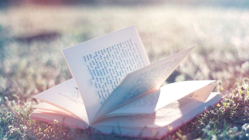 Open Book on Grass — White