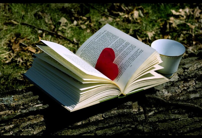 Open Book on Log