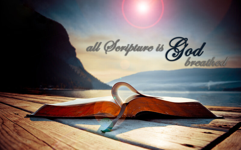 Open Book on Wood — Brown, Serene