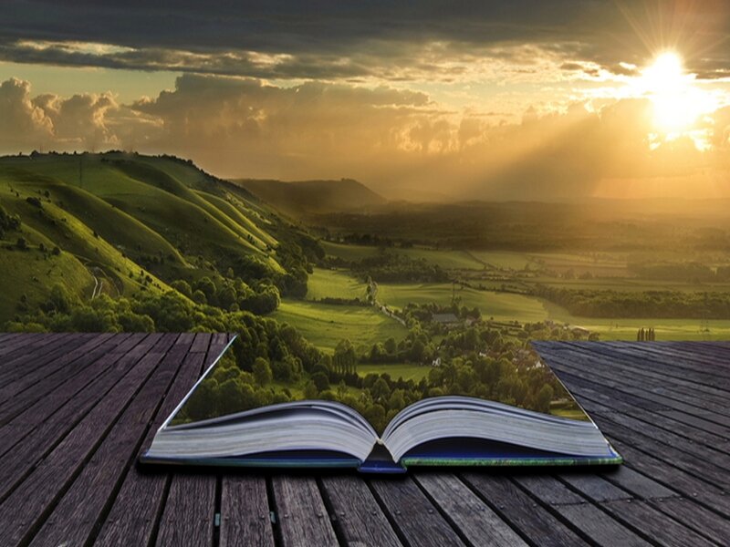 Open Book on Wooden Deck — Green