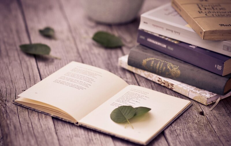 Open Book on Wooden Table — Brown