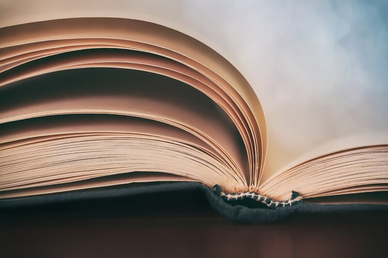 Open Book Pages — Brown