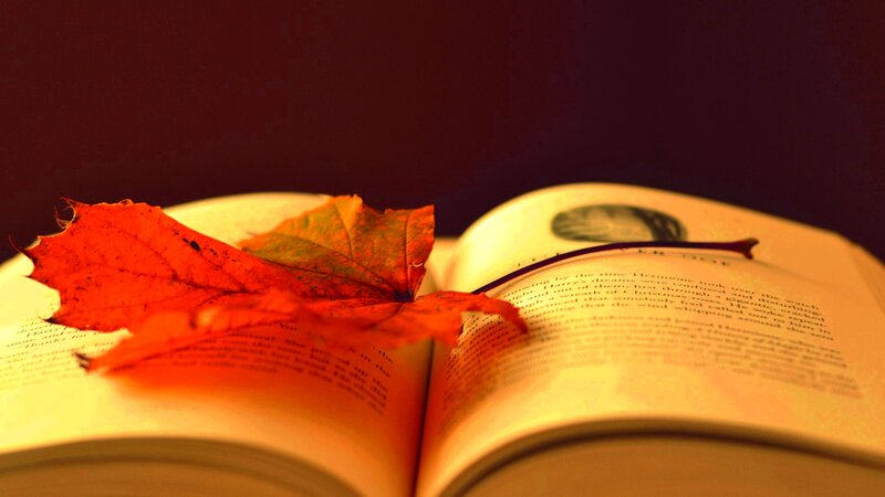 Open Book with Autumn Leaf — Red