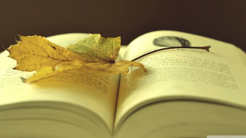 Open Book with Autumn Leaf — Yellow, Calm, Photograph, Text