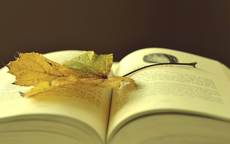 Open Book with Autumn Leaf — Yellow, Calm, Photograph